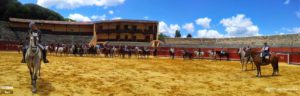 Feria Caballo Béjar