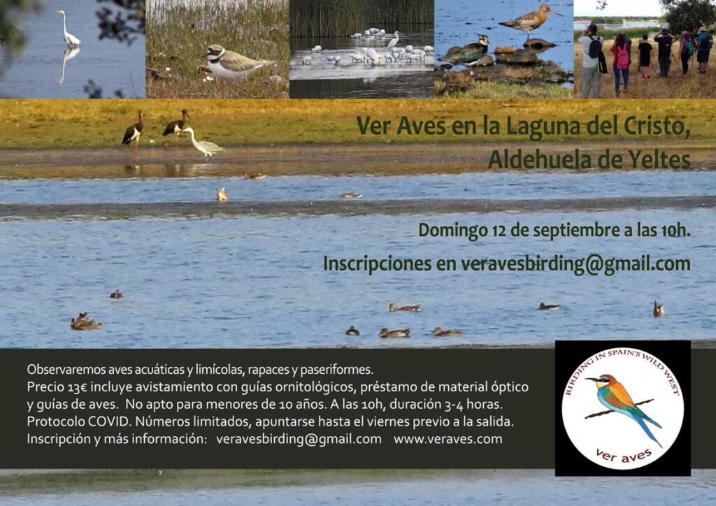 Aves-de-humedales-Ver-Aves-