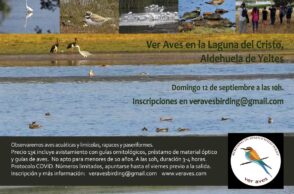 Aves-de-humedales-Ver-Aves-